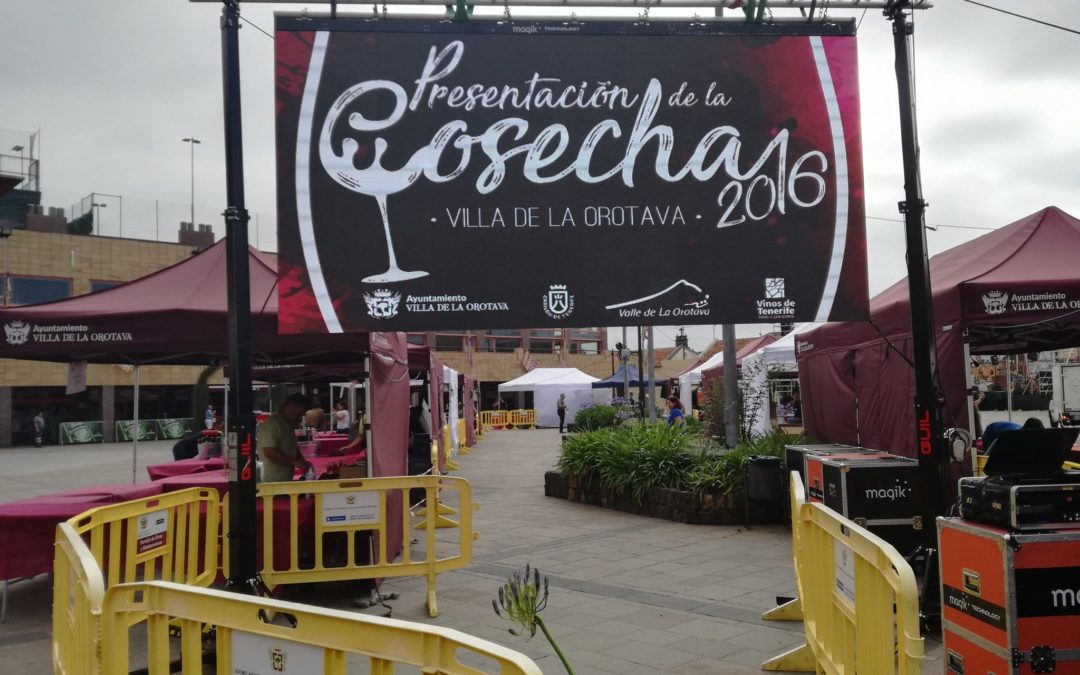 Presentación Cosecha del Vino La Orotava