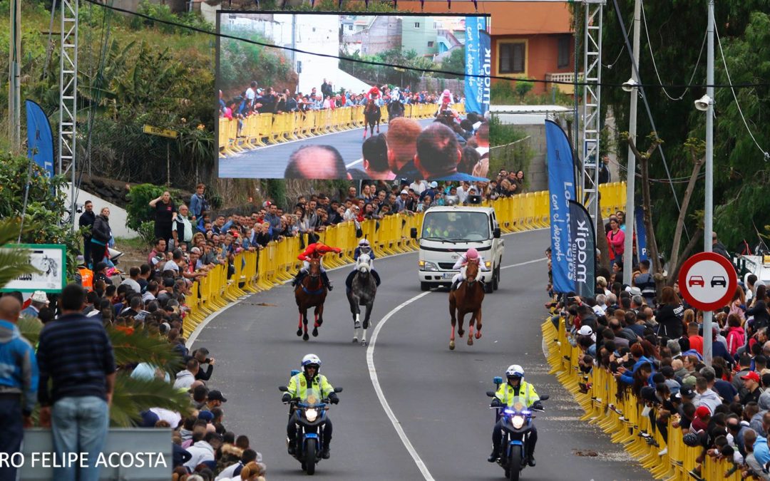 Carrera de Caballos Los Realejos