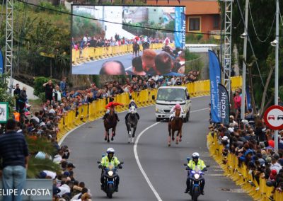 Carrera de Caballos Los Realejos