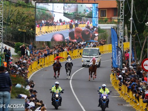 Carrera de Caballos Los Realejos