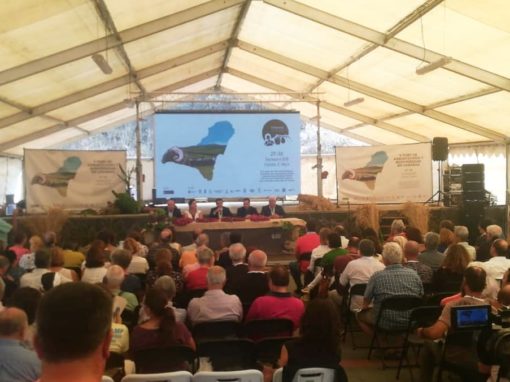 V Foro de Agroecología y Biodiversidad de Canarias, El Hierro.